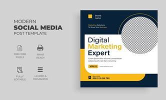 digital marketing expert social media post pro vector