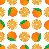 Illustration on theme big colored seamless orange vector