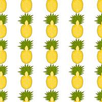 Illustration on theme big colored seamless pineapple vector