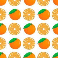 Illustration on theme big colored seamless orange vector