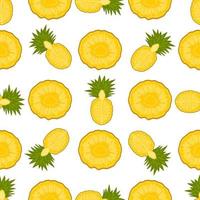 Illustration on theme big colored seamless pineapple vector