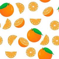 Illustration on theme big colored seamless orange vector