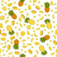 Illustration on theme big colored seamless pineapple vector