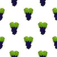 Illustration on theme big colored seamless grape vector