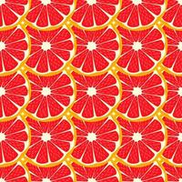 Illustration on theme big colored seamless grapefruit vector