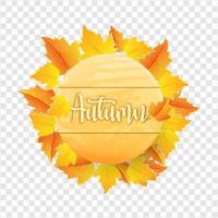 autumn leaves with wooden board on transparent background vector