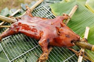 Suckling pigs on banana leaves photo