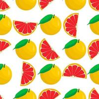 Illustration on theme big colored seamless grapefruit vector