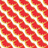 Illustration on theme big colored seamless grapefruit vector