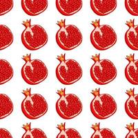 Theme big colored seamless pomegranate vector