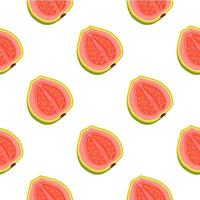 Illustration on theme big colored seamless guava vector