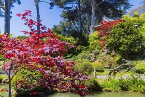 The Japanese Tea Garden in Golden Gate Park, San Francisco, California, USA