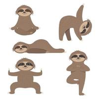 Sloth sports yoga, color vector illustration cartoon clipart