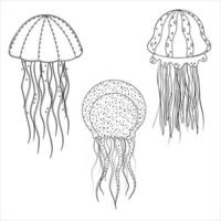 Sea jellyfish, black outline, coloring, vector illustration