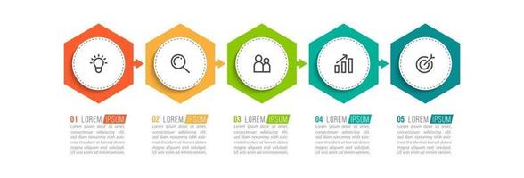 Five Options Infographic Template vector
