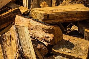 Cut and stacked dry woods. Pile of sawing woods. photo