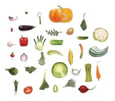 Vegetables isolated set vector