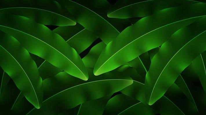 Tropical Background With Banana Leaves