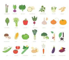 Vegetable set. flat design style minimal vector illustration.