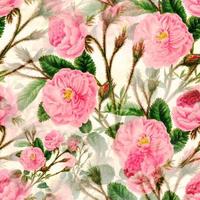 Pink Rose Flower Textile Pattern vector