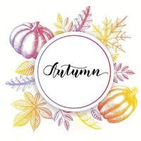 Autumn background with hand drawn leaves and pumpkins. vector