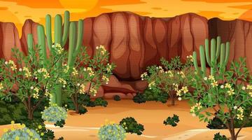 Desert forest landscape at sunset time scene with many cactuses vector