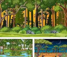 conjunto de diferentes escenas horizontales del bosque. vector