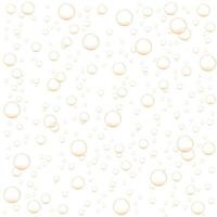 Golden air bubbles of champagne, soda, sparkling carbonated drink vector
