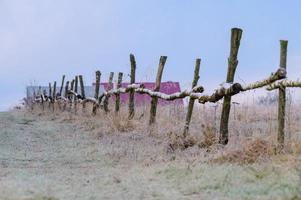 Perspective of a wooden fence in the countryside,  fields. photo