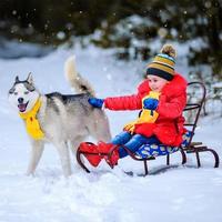 niña en un trineo juega con su mascota husky, juegos con perro foto