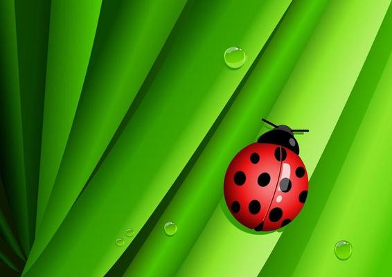 Graphic illustration of a lady bug on green leaves