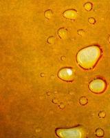 Vertical texture golden cannabis wax, marijuana dab macro background photo