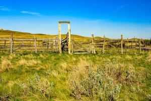 Dixon Ranch in summer. Grasslands. National Park, Saskatchewan, Canada