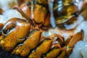 clean raw lobster tails prepared for grilling photo