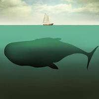 el botecito y la ballena gigante foto