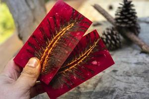 casting epoxy resin Stabilizing pine cone photo