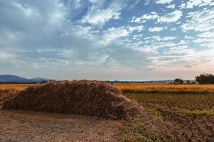 The haystacks  and the beautiful sky photo