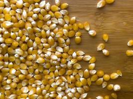Fondo de semilla de maíz amarillo. cerca de los granos alimenticios. foto