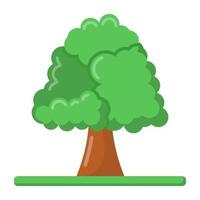 Tree and plantation vector