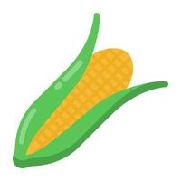 Corn healthy food vector