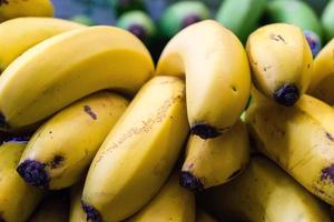 Plátanos en una plantación en la isla de Madeira. foto