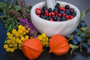 Medicina alternativa con hierbas farmacéuticas frutas y bayas. foto