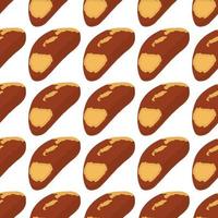 Illustration on theme big pattern identical types brazil nut vector