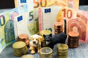What are the costs of a pet photo