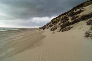 at the beach of Blavand Ho Denmark photo