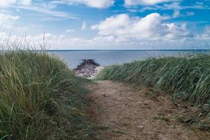 at the beach of Blavand Ho Denmark photo