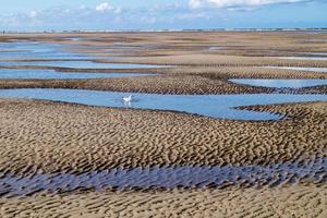 at the beach of Blavand Ho Denmark photo