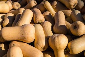 Pumpkins on a Farmers Market photo