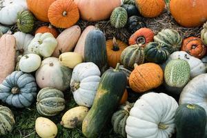 Pumpkins on a Farmers Market photo