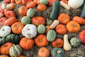 Pumpkins on a Farmers Market photo